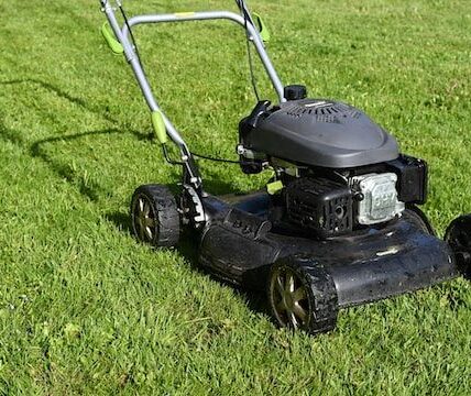 Best Push Lawnmowers by Experts on %sitename%