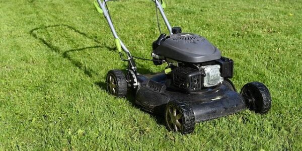 Best Push Lawnmowers by Experts on %sitename%