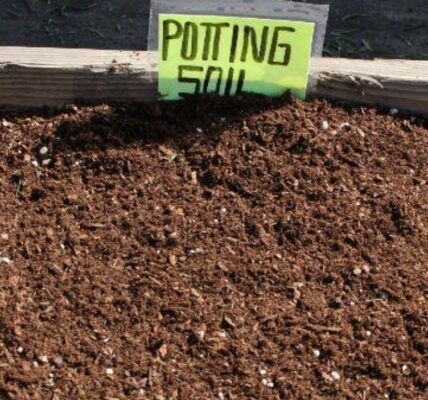 What is Potting Soil? Understanding Its Importance in Gardening