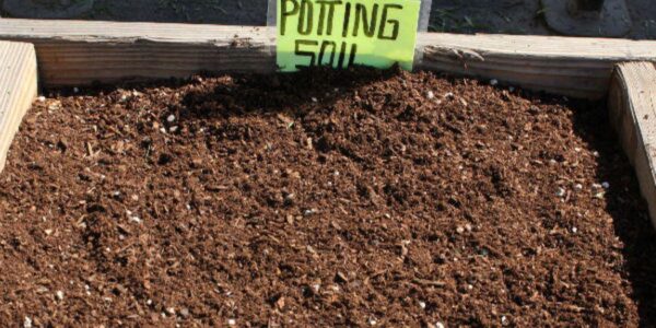 What is Potting Soil? Understanding Its Importance in Gardening